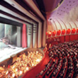 Regio Theater Turin (Italy)