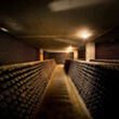 Cellar Ferrari (Italy)